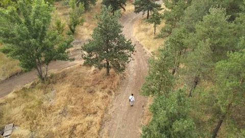 Man forest aerial view Stock Footage 240766247