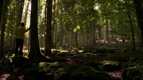 Man at the forest and . Nature background Video stock 80659251