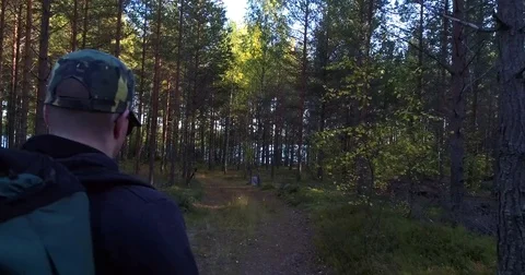 Man in the forest, Cinema 4k over shoulder view of a hiker, walking in a gree Stock Footage 82591105