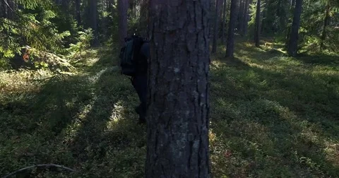 Man in the forest, Cinema 4k sideway view of a hiker, walking in a green fore Stock Footage 82591705