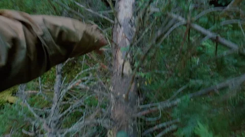 A man in the forest climbs and jumps from fallen trees, trying to escape. Video stock 342002009