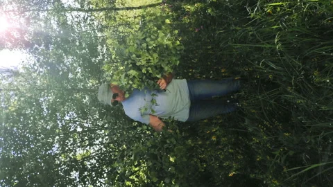 A man in the forest is dancing with birch branches. Vertical Stock Footage 134974716
