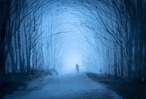 Man in a forest at dusk Stock Illustration