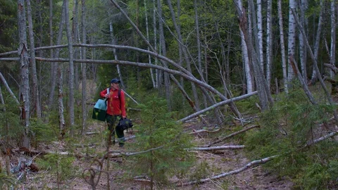 Man in the forest Video stock 95416329