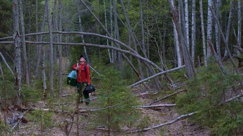 Man in the forest Video stock 95428416