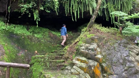 Man in the forest Stock Footage 254561152