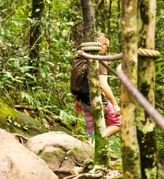 Man in a forest. Foto stock