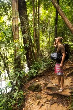 Man in a forest. Stock Photos