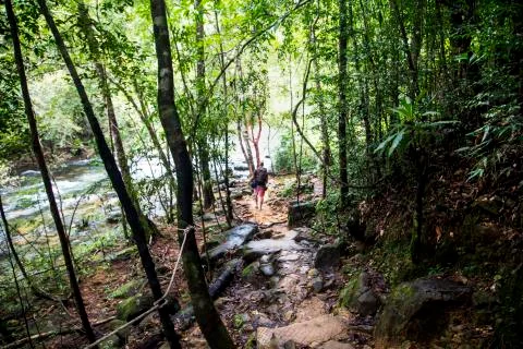 Man in a forest. Stock Photos