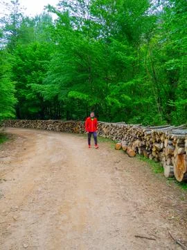The man on the forest road Foto stock