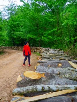 The man on the forest road Stock Photos