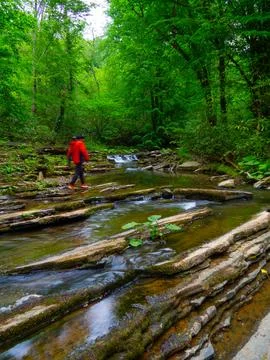 The man on the forest road Stock Photos