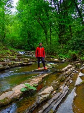 The man on the forest road Stock Photos
