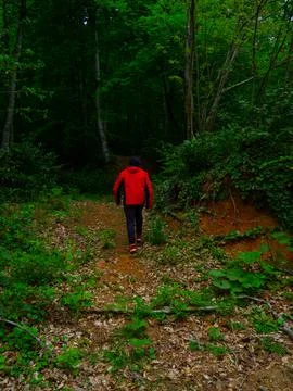 The man on the forest road Stock Photos