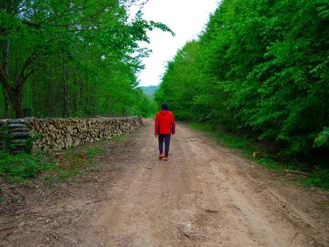The man on the forest road Stock Photos