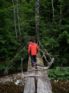 The man on the forest road Foto stock