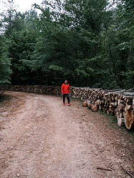 The man on the forest road Stock Photos