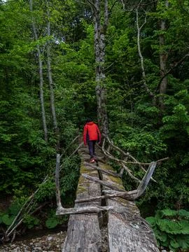 The man on the forest road Stock Photos
