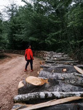 The man on the forest road Stock Photos