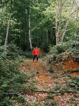 The man on the forest road Stock Photos