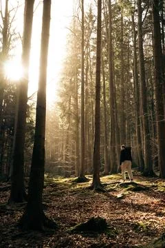 A man in a forest with sunlight shining through the trees Stock Photos