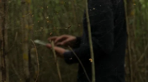 Man in the forest with tablet computer. Focusing through the cobwebs Stock Footage 67430510