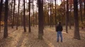 The man in the forest: time lapse capture. Shadows motion seen. Red cinema cam. 4k or 4k+ Resolution