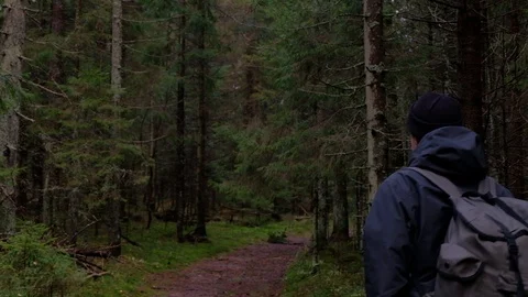 Man in forest trail with backpack, gimbal shot Stock Footage 97505991