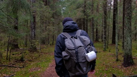 Man in forest trail with backpack, gimbal shot Stock Footage 97506967