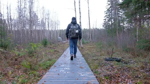 Man in forest trail with backpack, gimbal shot Stock Footage 97507895