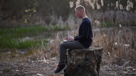 Man in the forest working on laptop Stock Footage 128970449