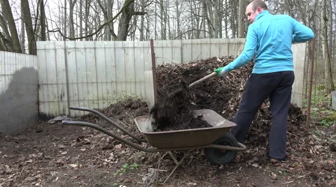 Man with fork load compost into old wheelbarrow in backyard. 4K Stock Footage 50422146