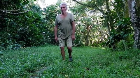 A man found yellow fruit in the jungle. Video stock 122881372