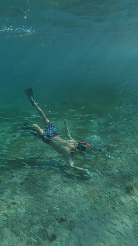 Man freediving upside down through a dense school of small fish in clear Видео 346247113