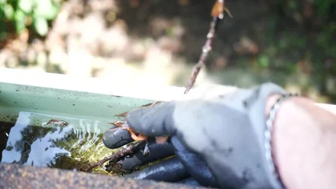 Man Frees Gutter Downspot from Clog on Sunny Afternoon Stock Footage 340113398
