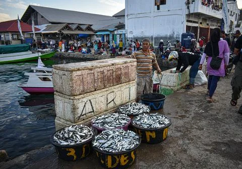A man with fresh fish  Stock Photos