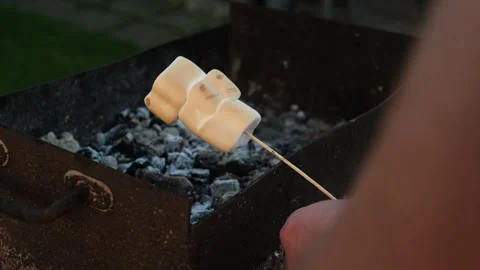 Man is frying marshmallows on a stick over burning coals in a campfire Stock Footage 340333039