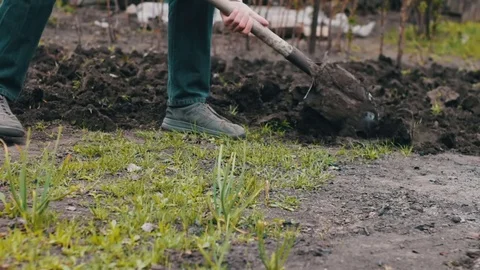 The man in the garden with a shovel digging a hole in the ground Stock Footage