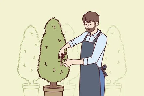 Man gardener cuts excess branches from trees growing in pots and taking care of Stock Illustration
