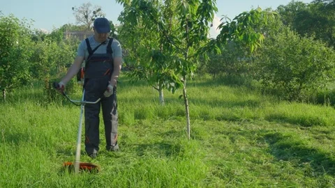 Man gardener in workwear trims grass with a string trimmer in a lush garden Stock Footage 336711531