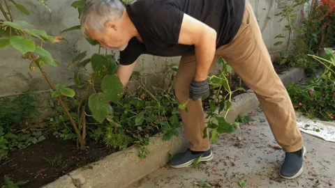 A man is gardening on a small plot of land. Vídeos de archivo 161081437