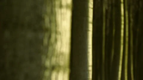 Man with gas mask Stock Footage 1060614