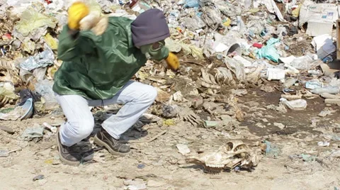 Man with gas mask hitting with bone skull carcass of cow on landfill, 24 fps Stock Footage 36960626