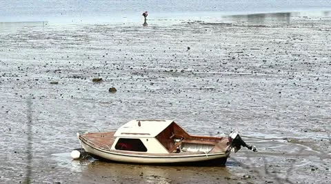 Man gathering seafood 库存影片 22336684