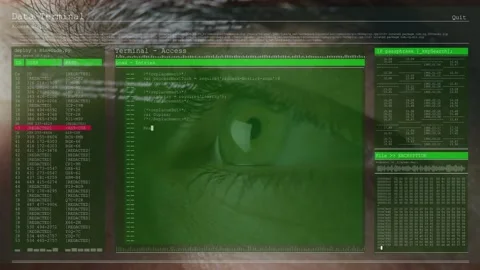 Man gazing while Data Terminal fading in, overlaying scrolling code on eye, Stock Footage 330191262