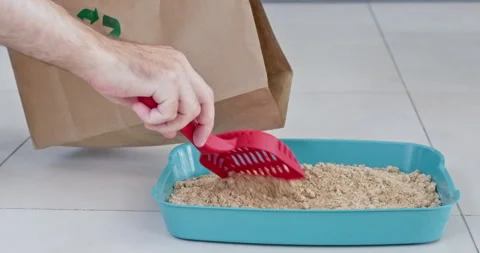 Man gently uses scoop to put used pellets waste into bag 動画素材 286039448