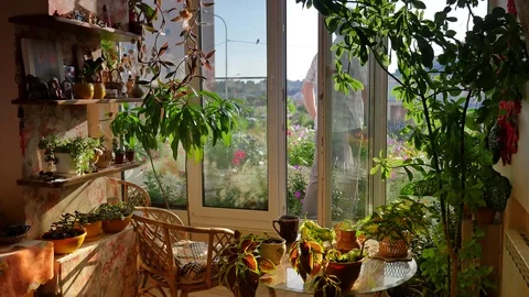 Man Gets Back Home Through Window From Terrace Standing and Looking Through 動画素材 71632870