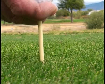 Man gets hole in one V3 - PAL Video stock 10791569