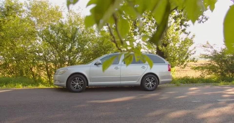 The man gets out of the broken car with the emergency lights on, and opens the Stock Footage 134166453