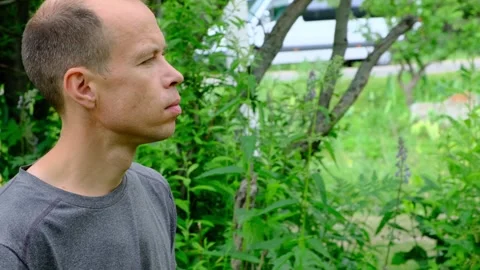 A man gets out of the forest towards the road. Stock Footage 273024908